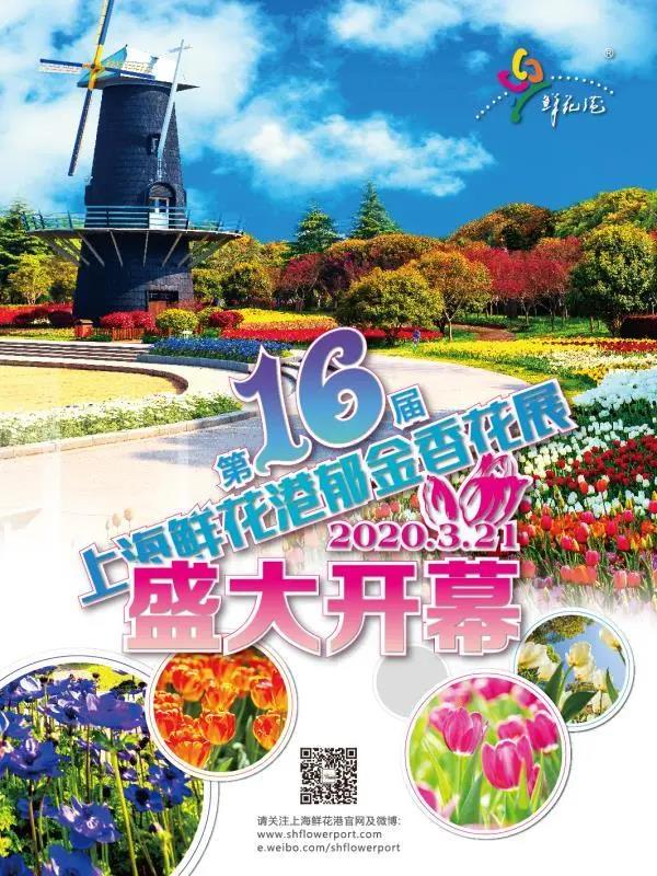 微信图片_20200319145659.jpg