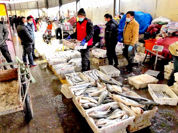 调整大小 水产集团确保货源图二市场货源充足.jpg