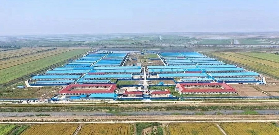 2 光影见证 · 深耕448.jpg 2 光影见证 · 深耕448.jpg