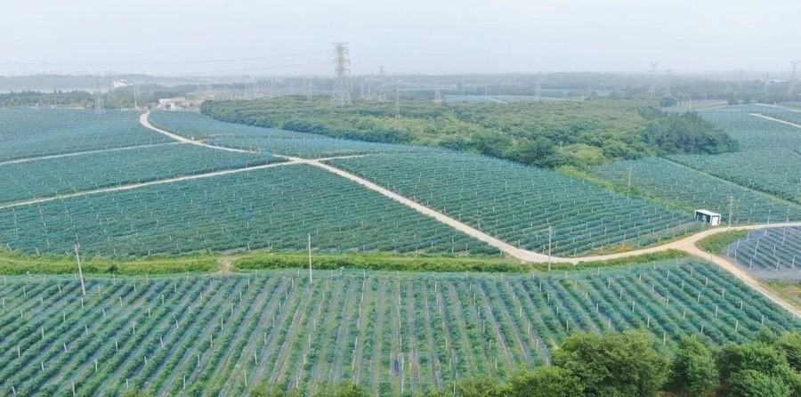 2 光影见证 · 深耕1062.jpg 2 光影见证 · 深耕1062.jpg