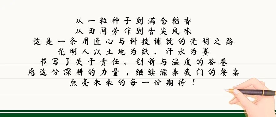 2 光影见证 · 深耕1213.jpg 2 光影见证 · 深耕1213.jpg