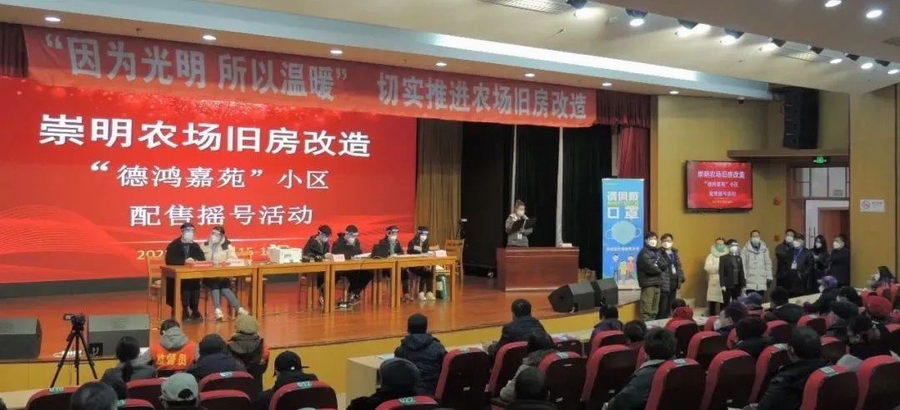 06.jpg