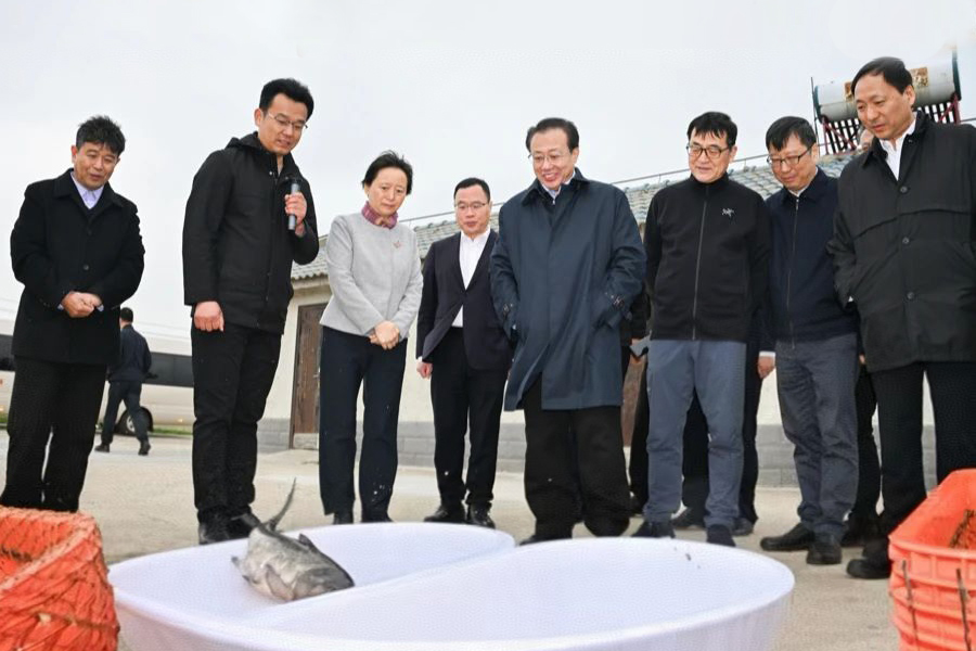 20250325 市委副书记、市长龚正调研光明食品集团江苏盐城地区域外农场2---.jpg